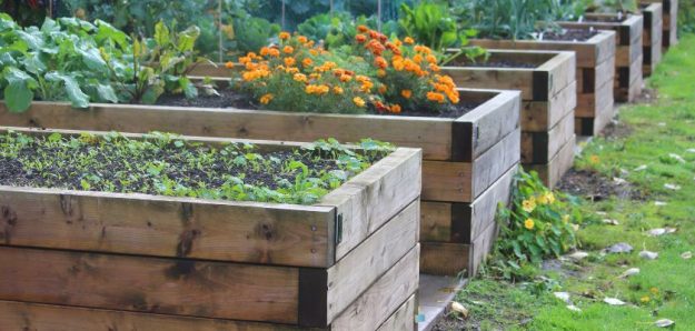 Creative Container Gardens