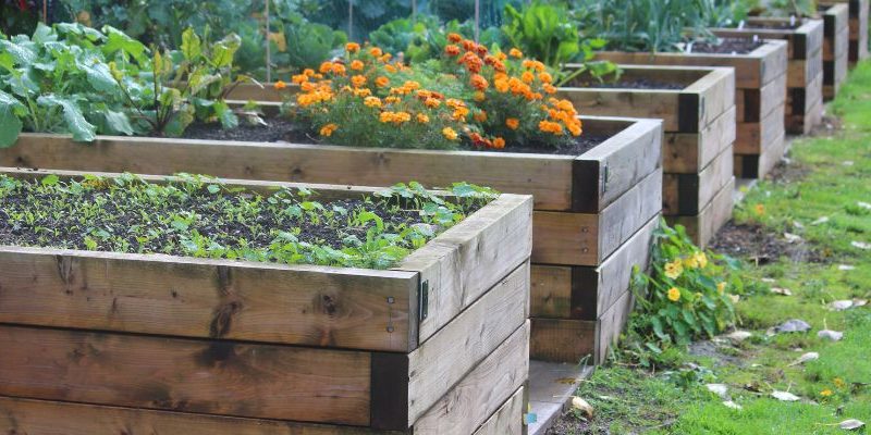 Creative Container Gardens