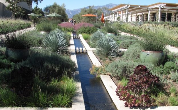 Water-Wise Landscaping Tips