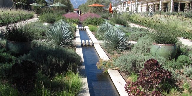 Water-Wise Landscaping Tips