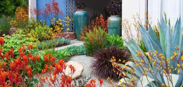 Native Plants in Landscape Design