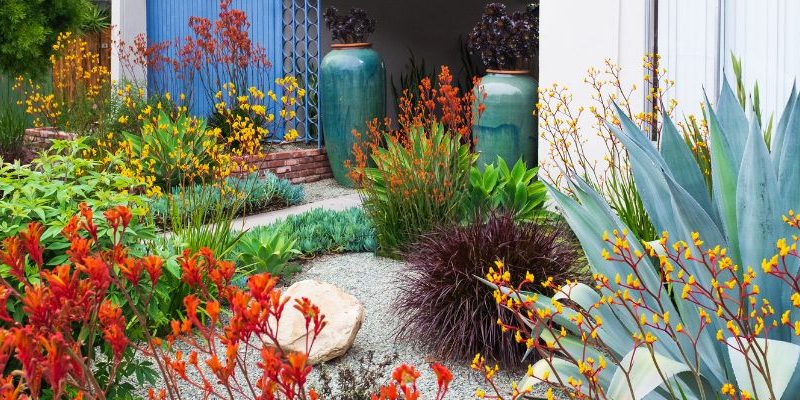 Native Plants in Landscape Design Native Plants in Landscape Design