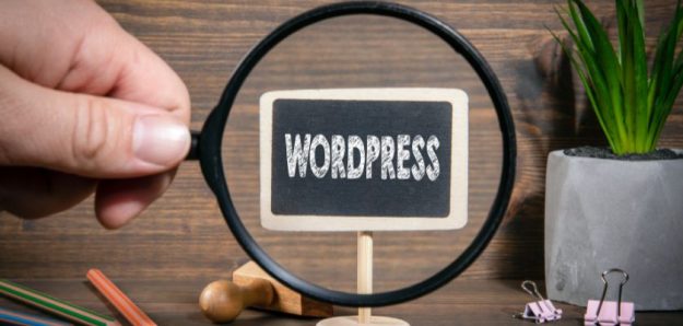 WordPress SEO