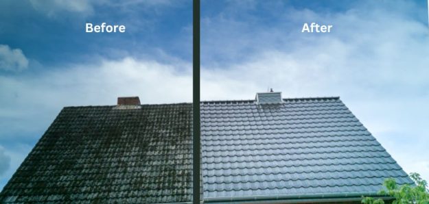 Before and After Pressure Washing Transformations