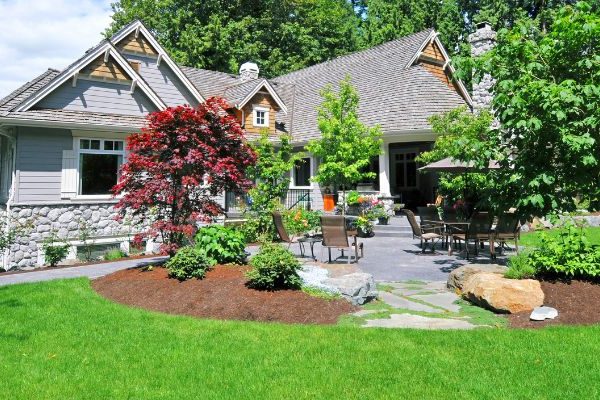 Drought Tolerant Landscape