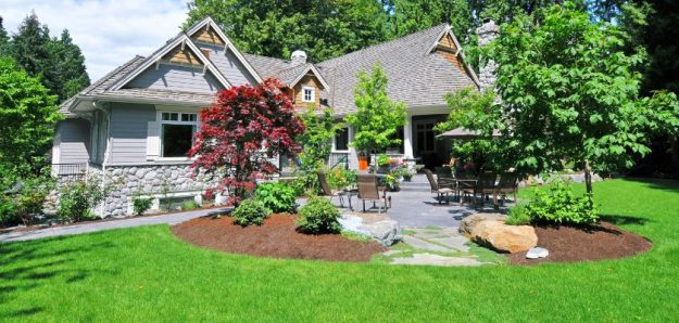 Drought Tolerant Landscape