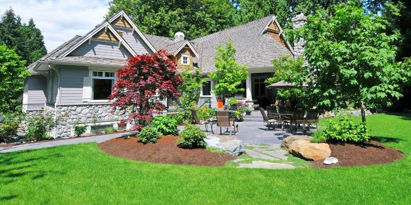 Drought Tolerant Landscape