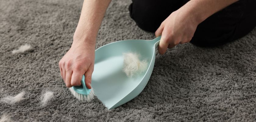 Effective Methods for Pet Odor Removal