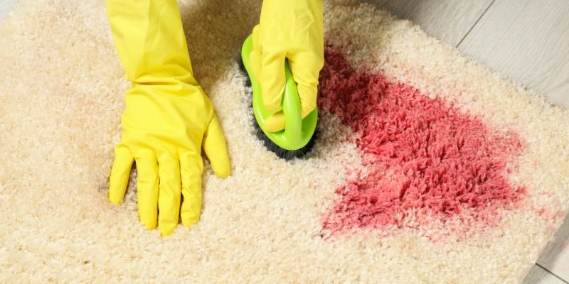 Remove Stubborn Stains from Carpets