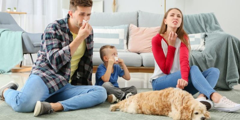 Top Tips for Allergy-Proofing Your Home Top Tips for Allergy-Proofing Your Home