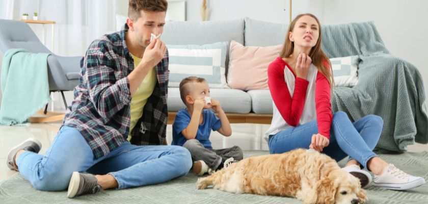Top Tips for Allergy-Proofing Your Home