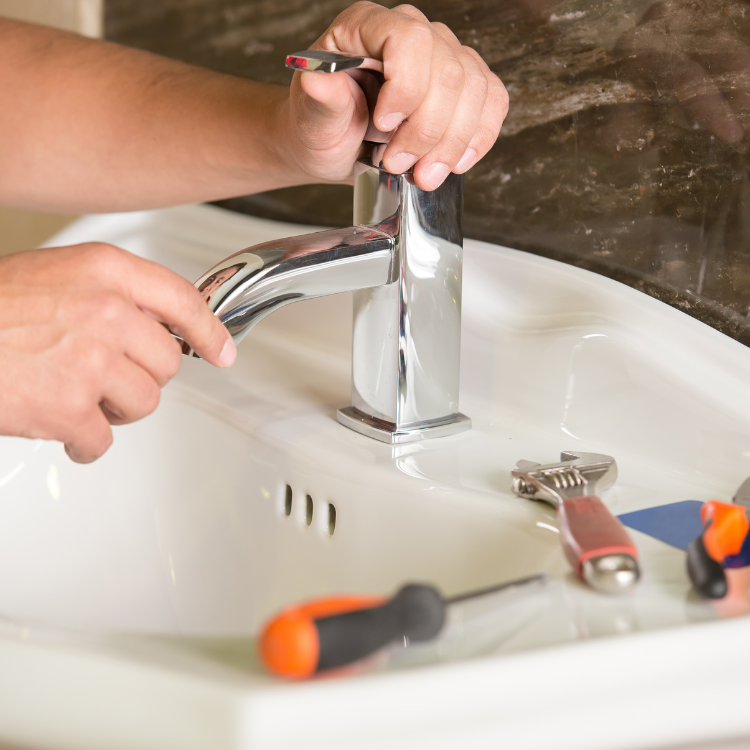 Plumbers 31