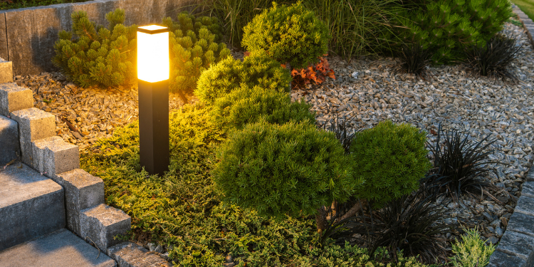 Pristine Connections