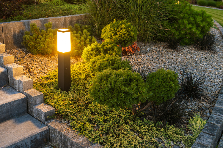 Pristine Connections